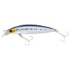 Shoreline Shiner Z Vertice 80SS